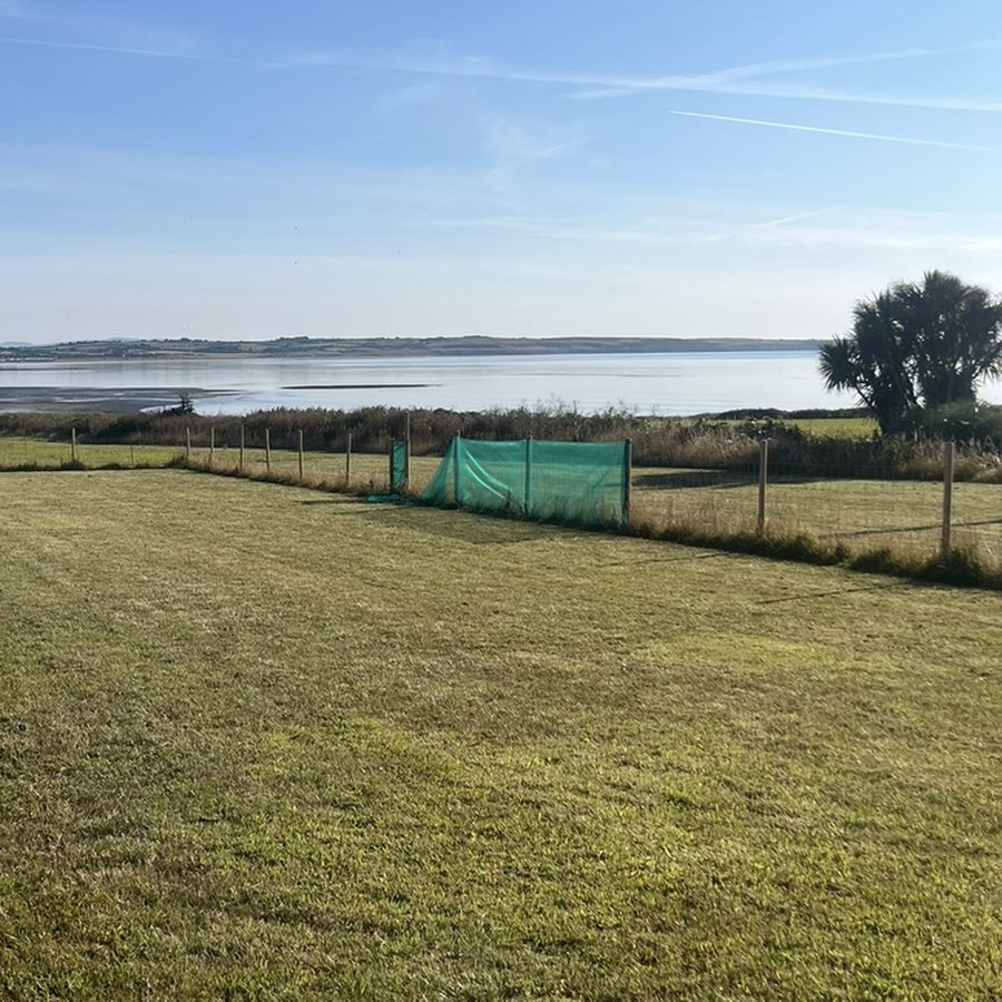 The secure grass field at Coastal Canines, fenced along its far edge, looking out over the estuary and open water at Ballycotton.